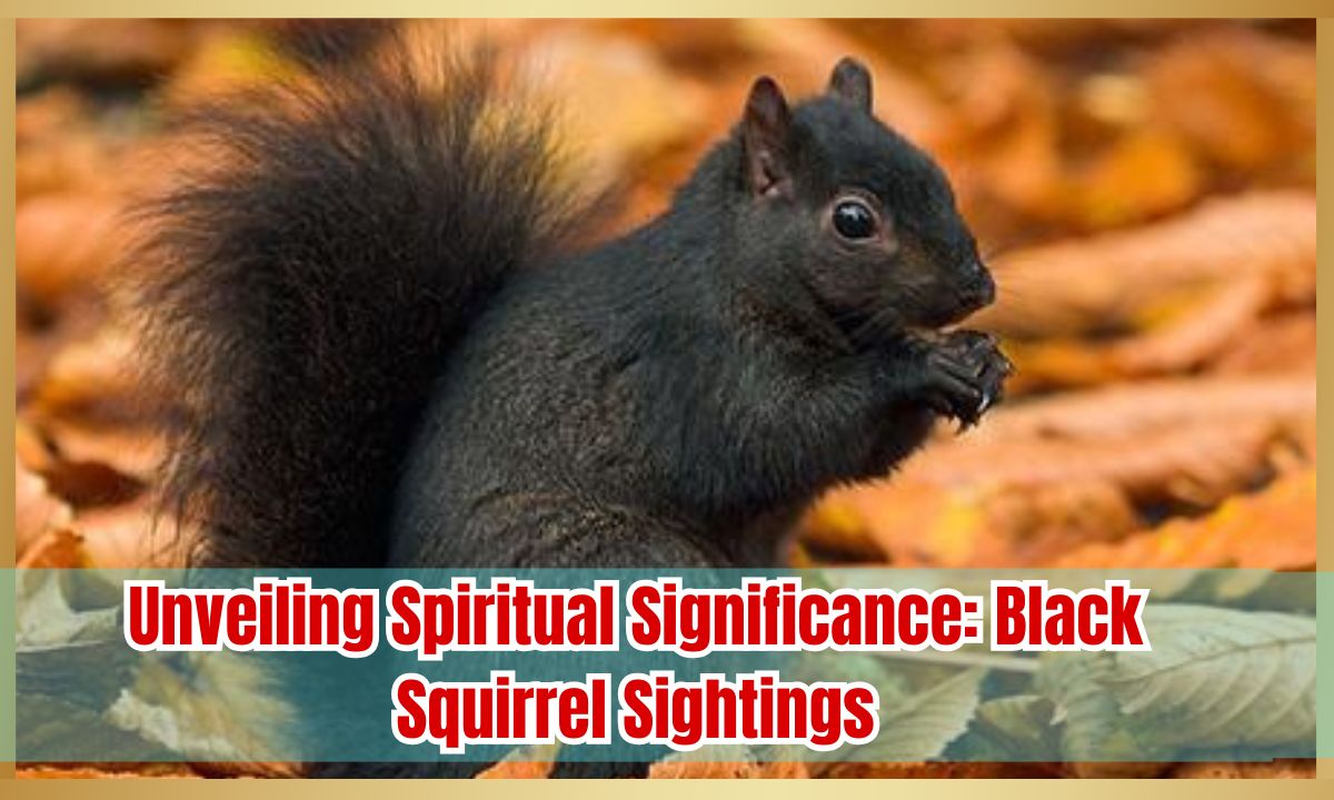 Unveiling Spiritual Significance: Black Squirrel Sightings