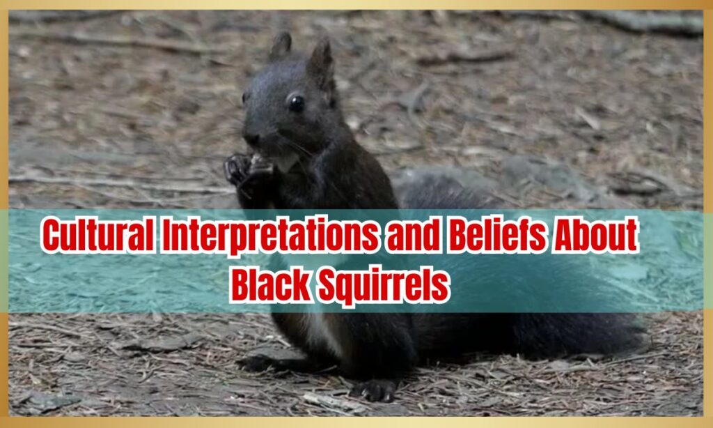 Cultural Interpretations and Beliefs About Black Squirrels