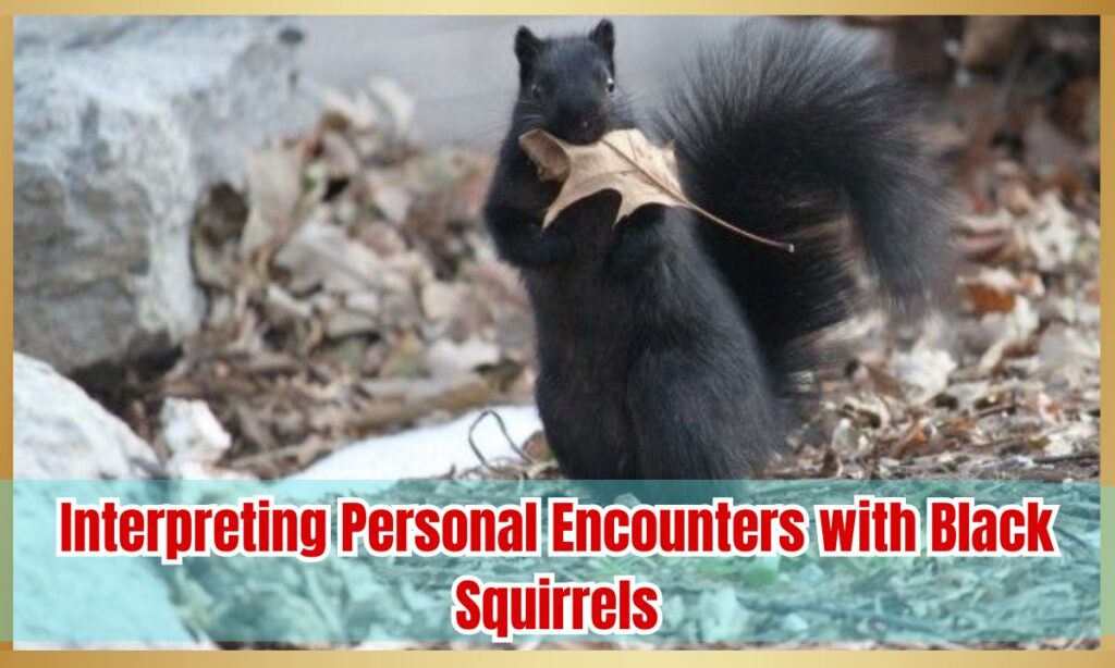 Interpreting Personal Encounters with Black Squirrels