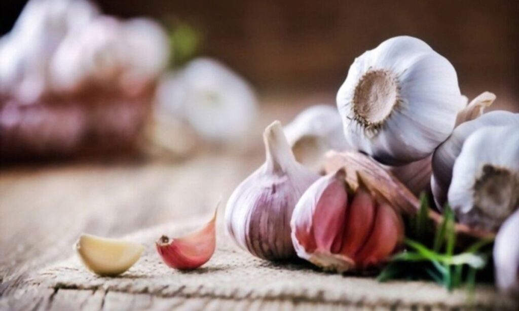 The Aroma of Garlic