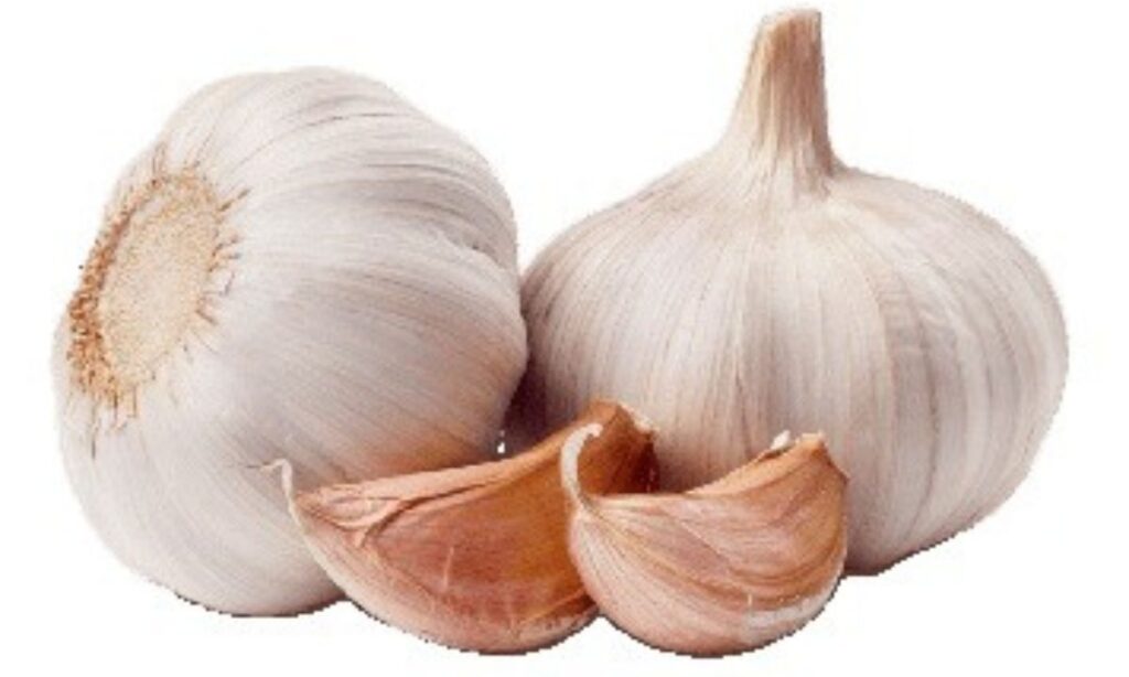 Garlic as a Healing Herb