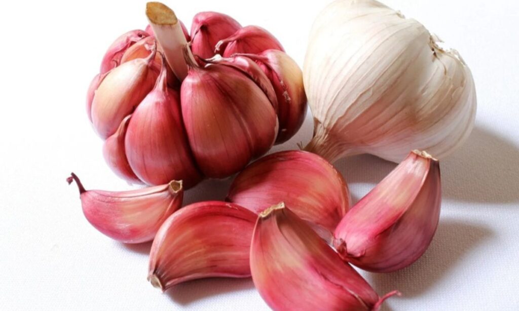 Garlic’s Role in Attracting Good Fortune