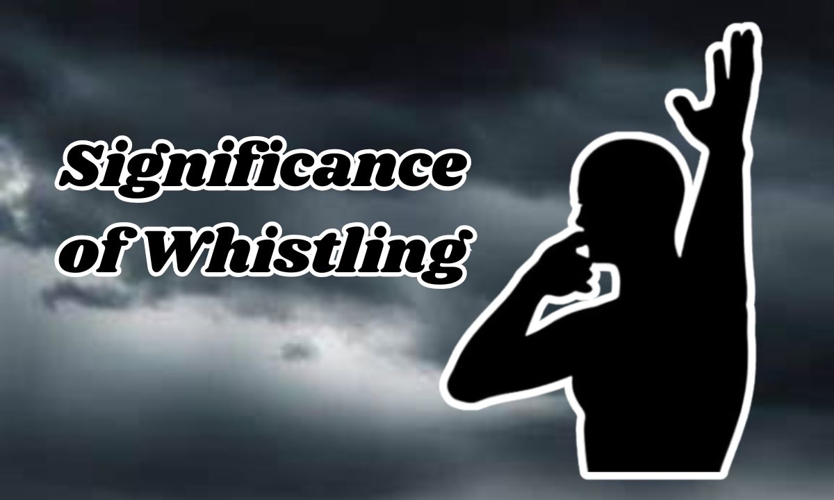 Significance of Whistling