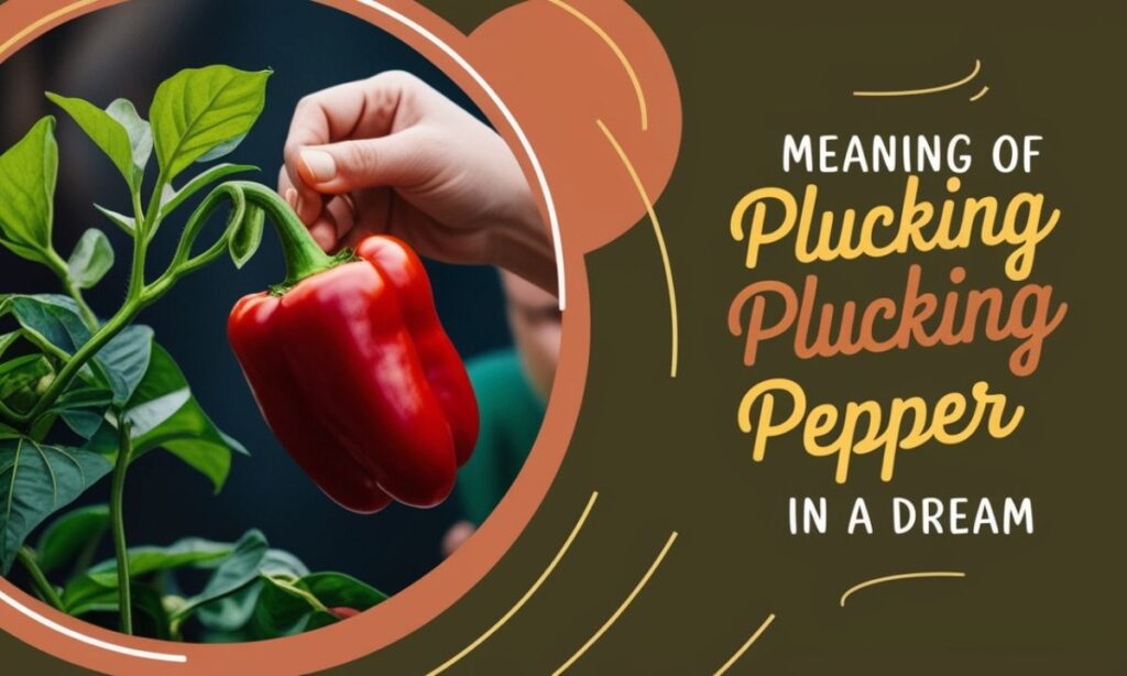 Meaning of Plucking Pepper in a Dream