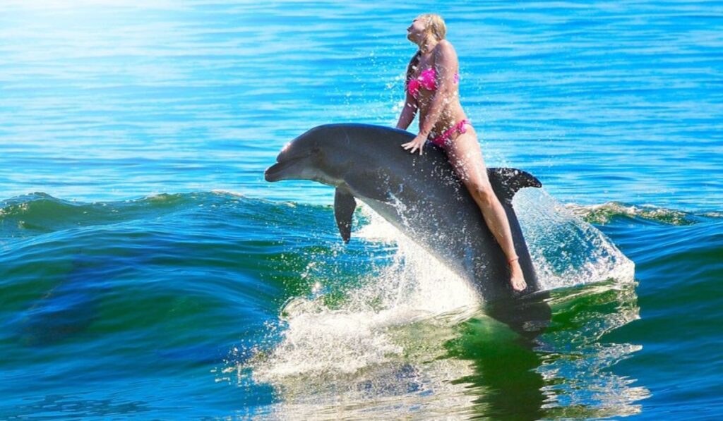 Riding a Dolphin