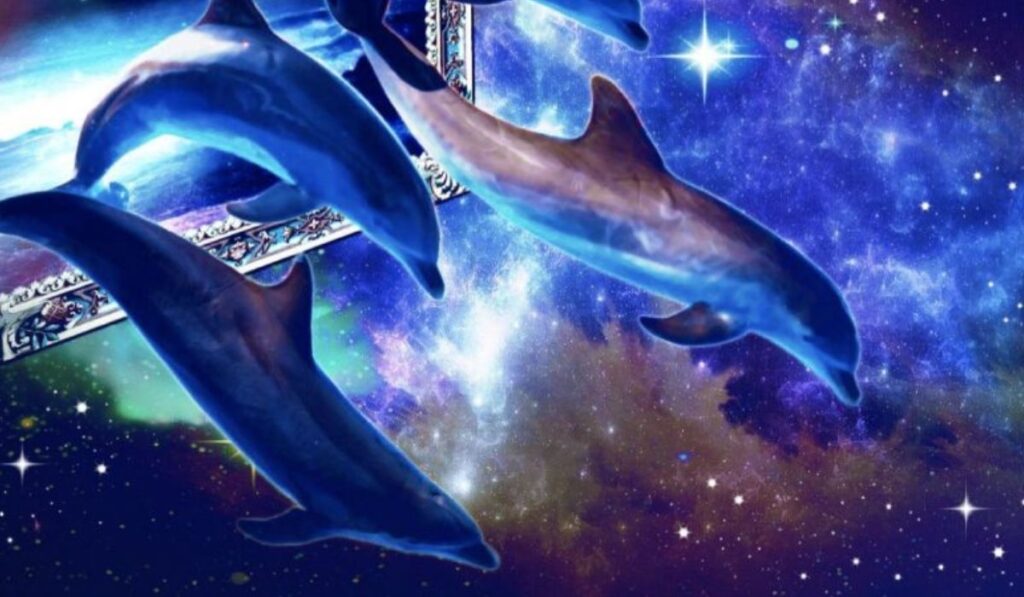 Dolphin Dreams