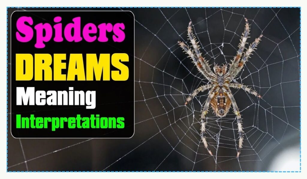 Gendered Interpretations of Spider Dreams