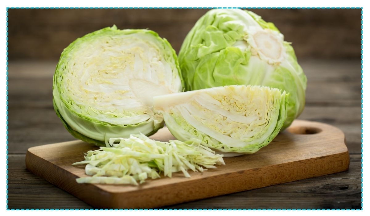 Cabbage