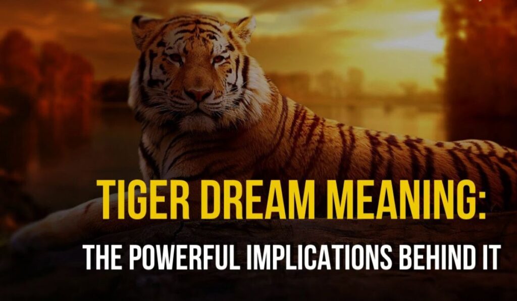 Tiger Dreams for Personal Growth