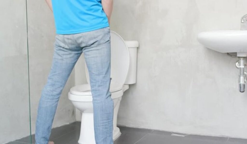 Urinating in the Toilet