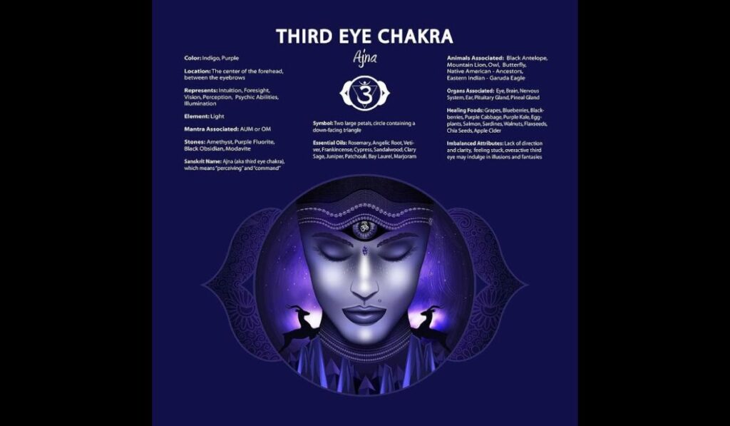  the Third Eye Chakra