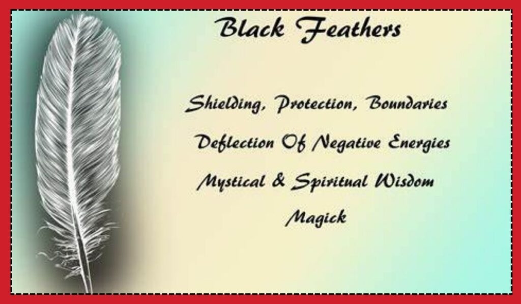 The Black Feather