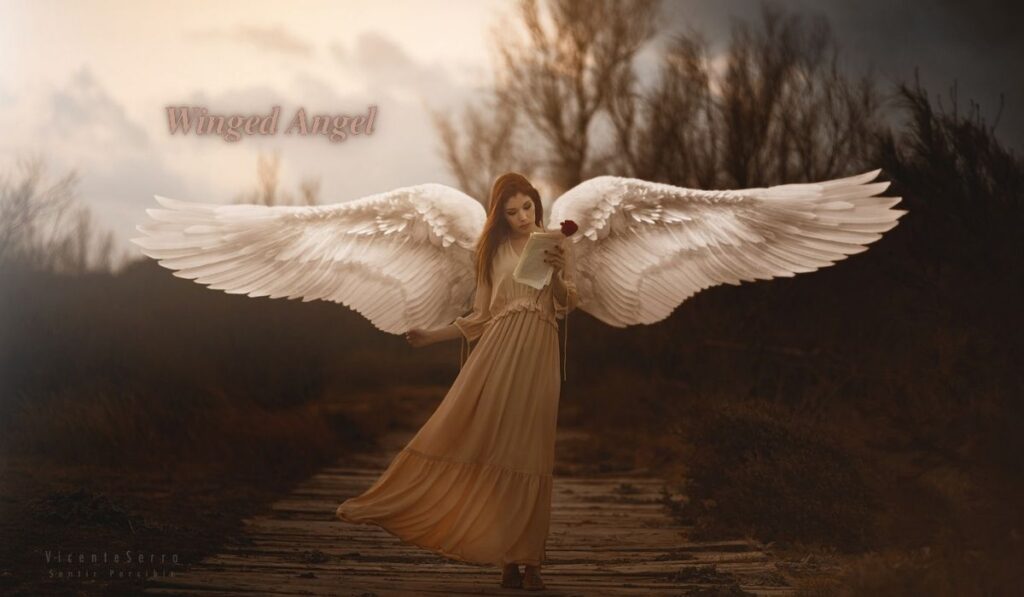 Winged Angel