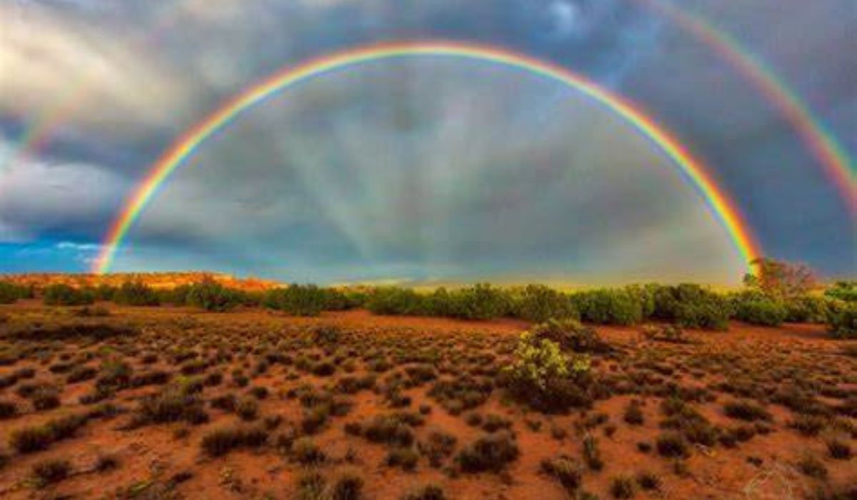 Rainbow Sightings