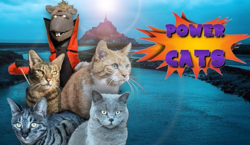 Power of Cats