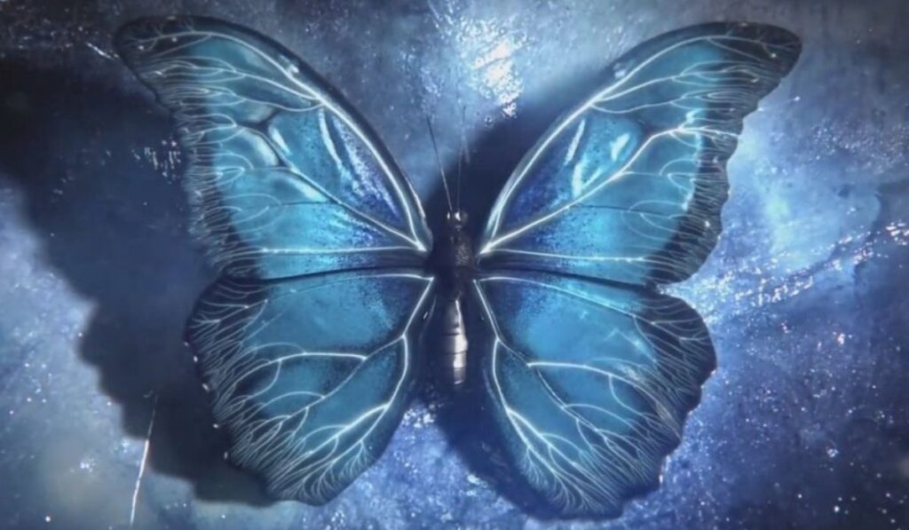 Blue Butterfly 