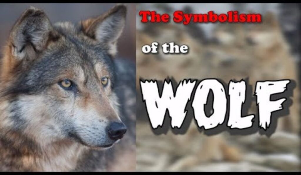 Color Symbolism in Wolf