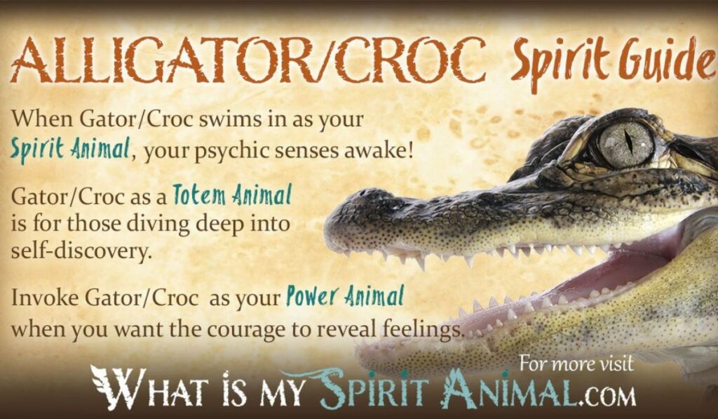 The Crocodile as a Spirit Guide